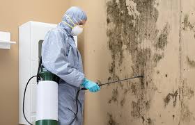 Mold Removal for HVAC Installations in Granite Falls, MN